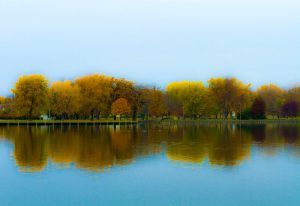 Doty Island in The Fall