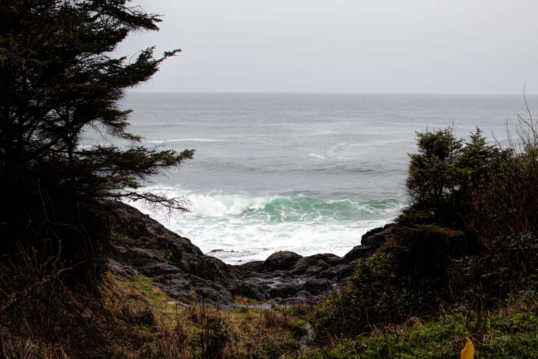 Rainy Day on the Oregon Coast