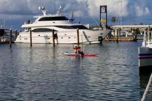 Paddle Boarding in Key West Marina